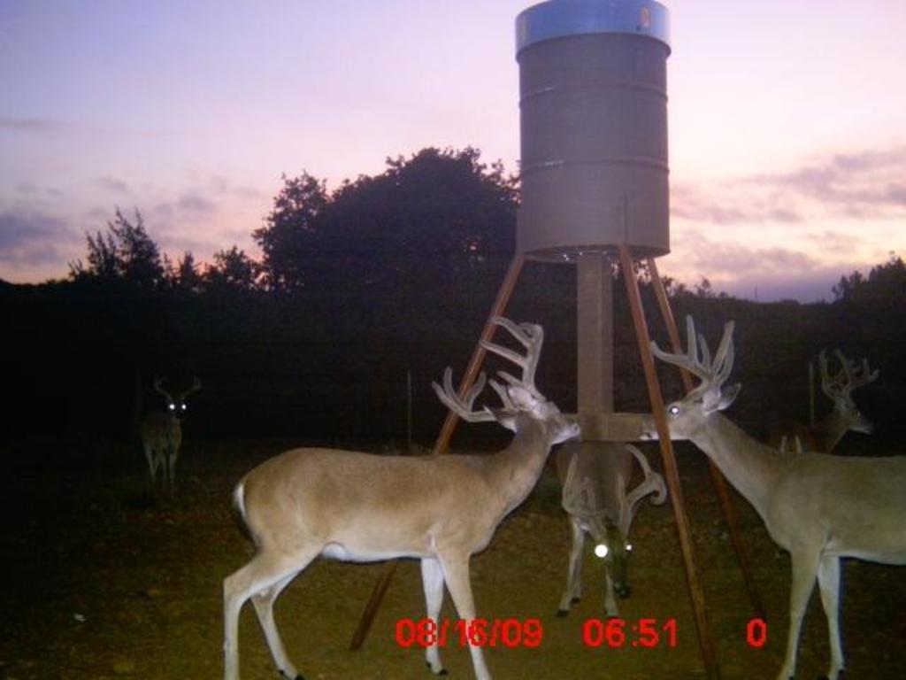 Wildlife management results